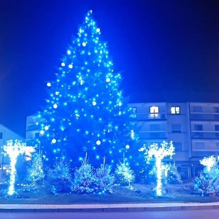 Appartement Chaleureux Remiremont Luaran gambar